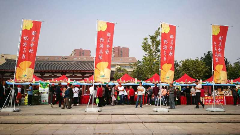 代县文化广电体育和旅游局新项目助力地方文化体育事业繁荣发展