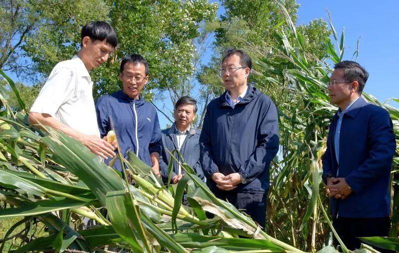 密山市应急管理局最新新闻