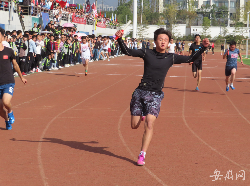 青阳县初中最新动态报道