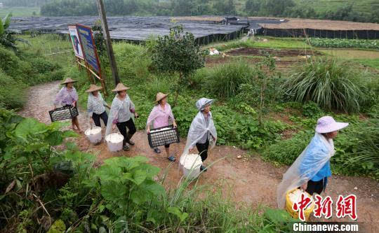 融水苗族自治县县级公路维护监理事业单位领导团队工作概述及最新领导介绍