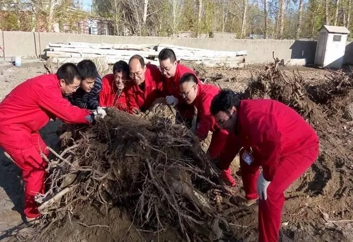 乌尔禾区特殊教育事业单位等最新领导