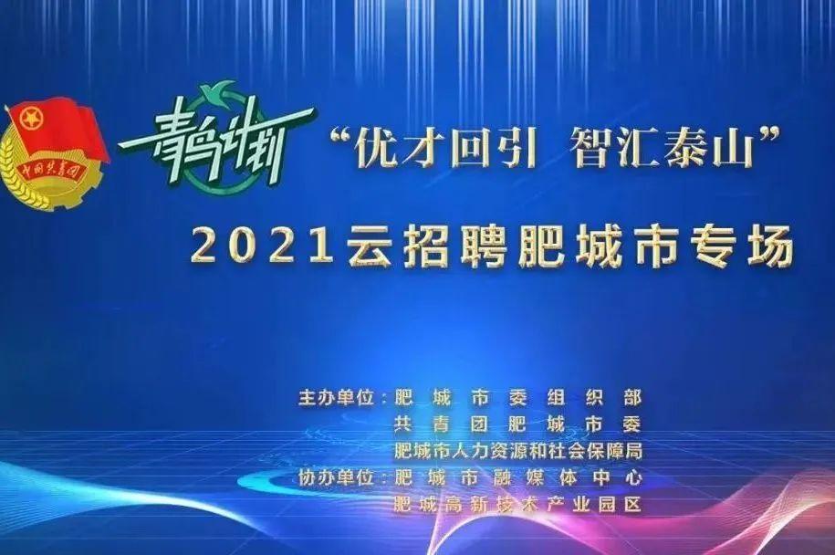 肥城市交通运输局最新招聘信息