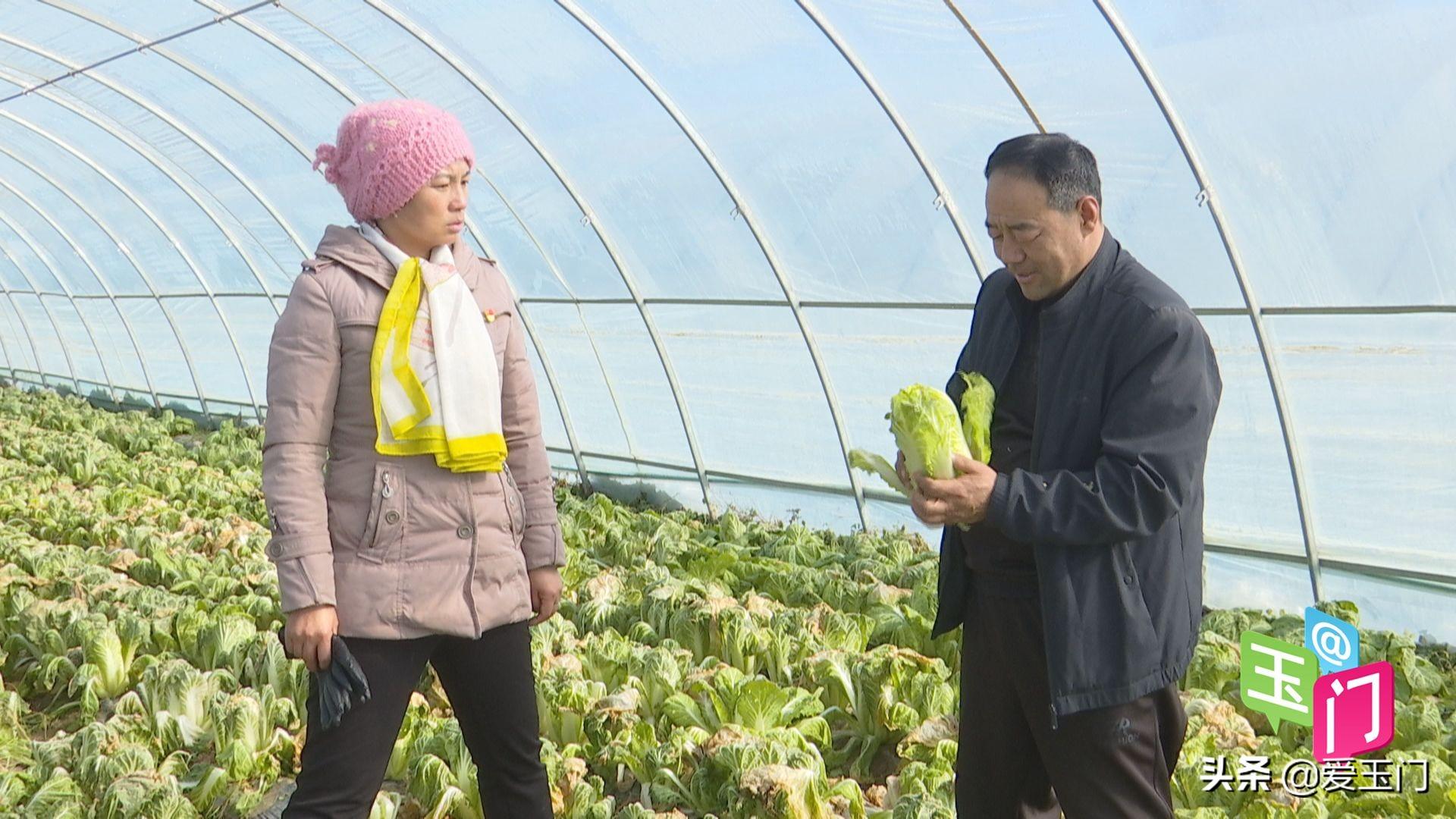 新民堡村委会最新项目