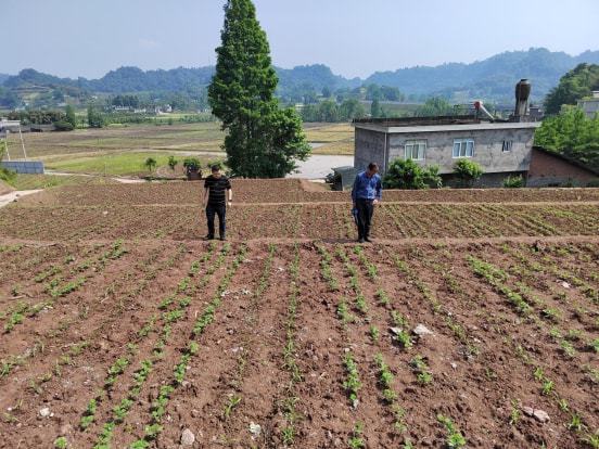 宁海县农业农村局新项目推动农业现代化，乡村振兴再添新动力