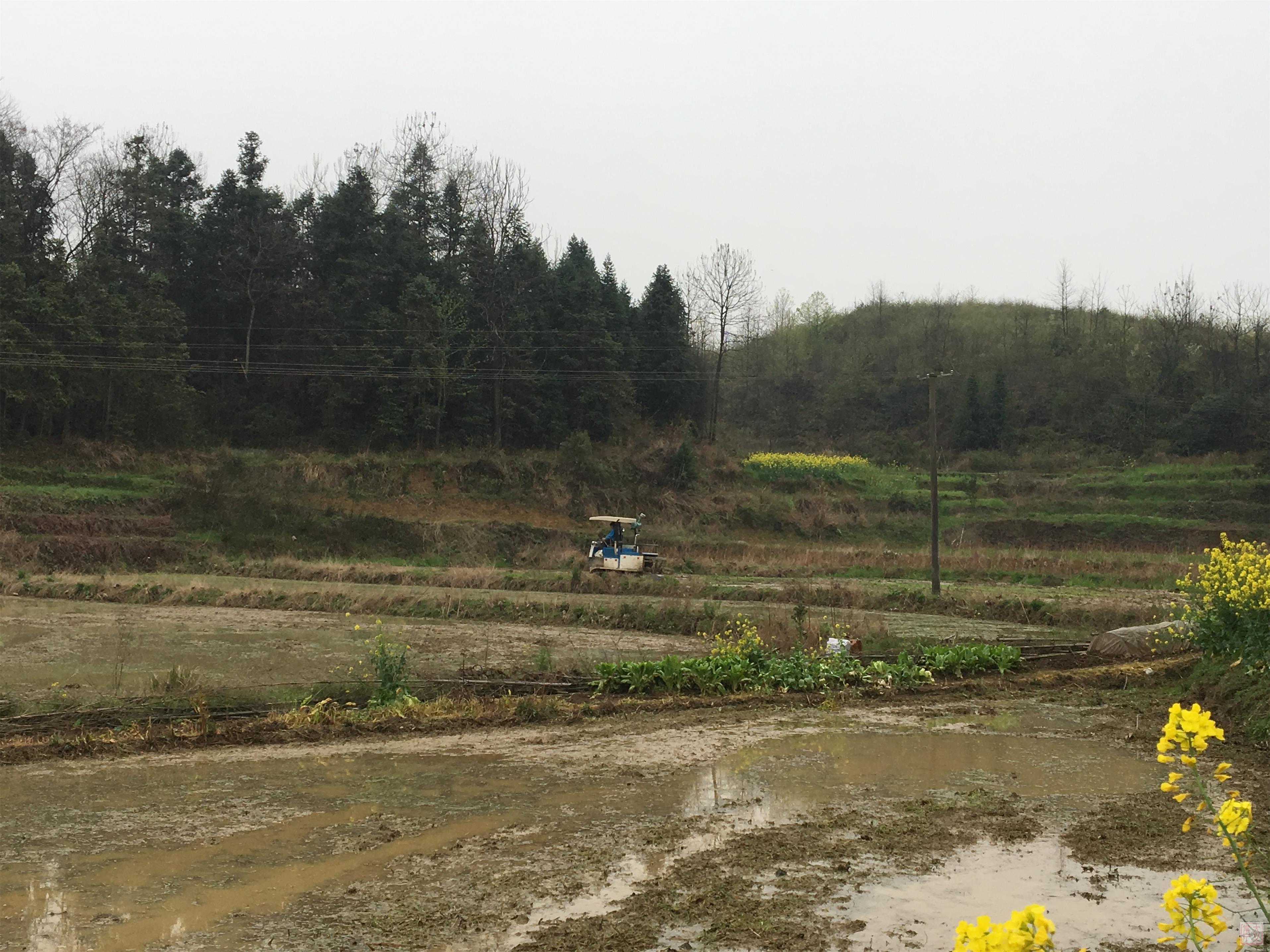 蓬塘乡天气预报更新通知