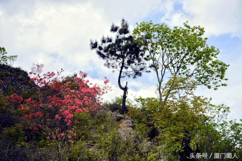 大山川村委会发展规划概览