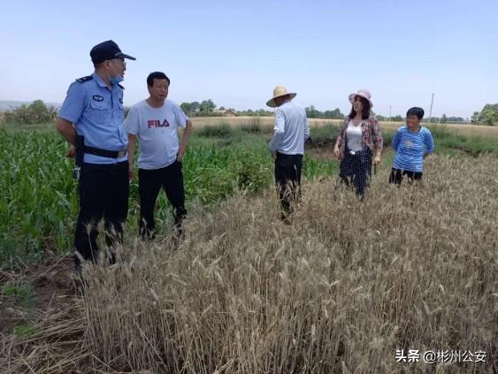 全杜村委会天气预报更新通知