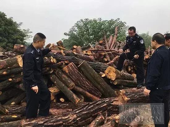 雨湖区公路运输管理事业单位发展规划展望