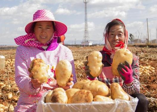 芦山村委会招聘启事，最新职位空缺