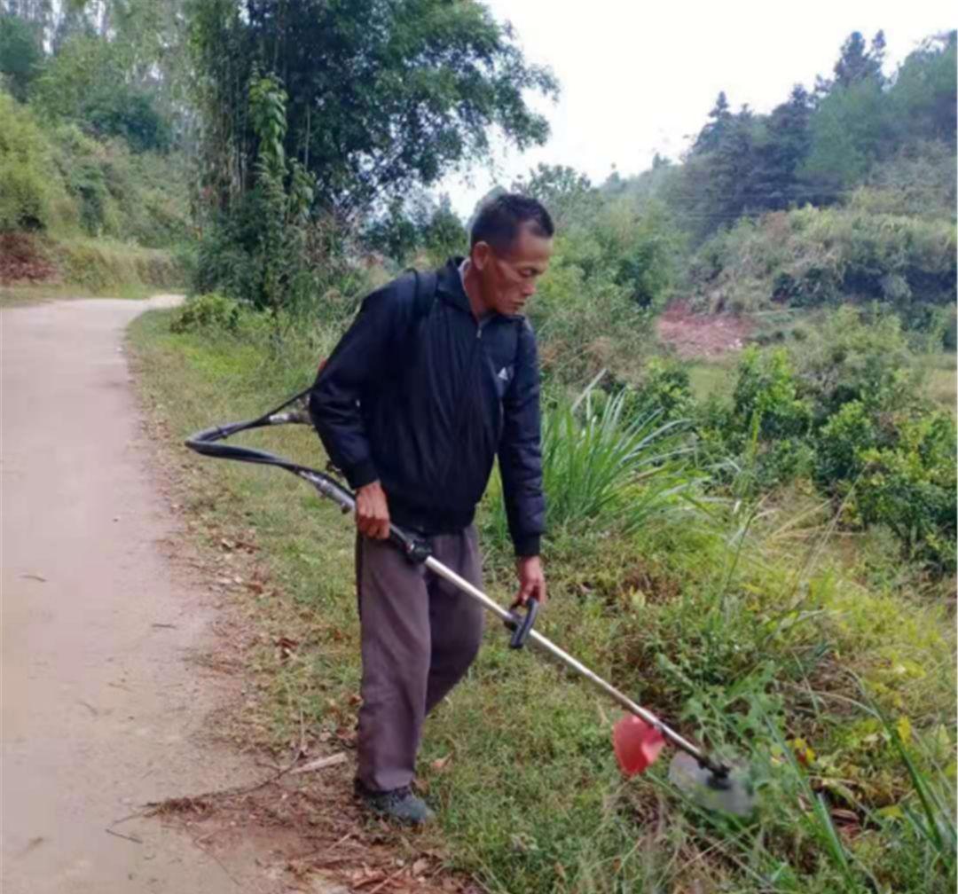 平桂区卫生健康局最新人事任命