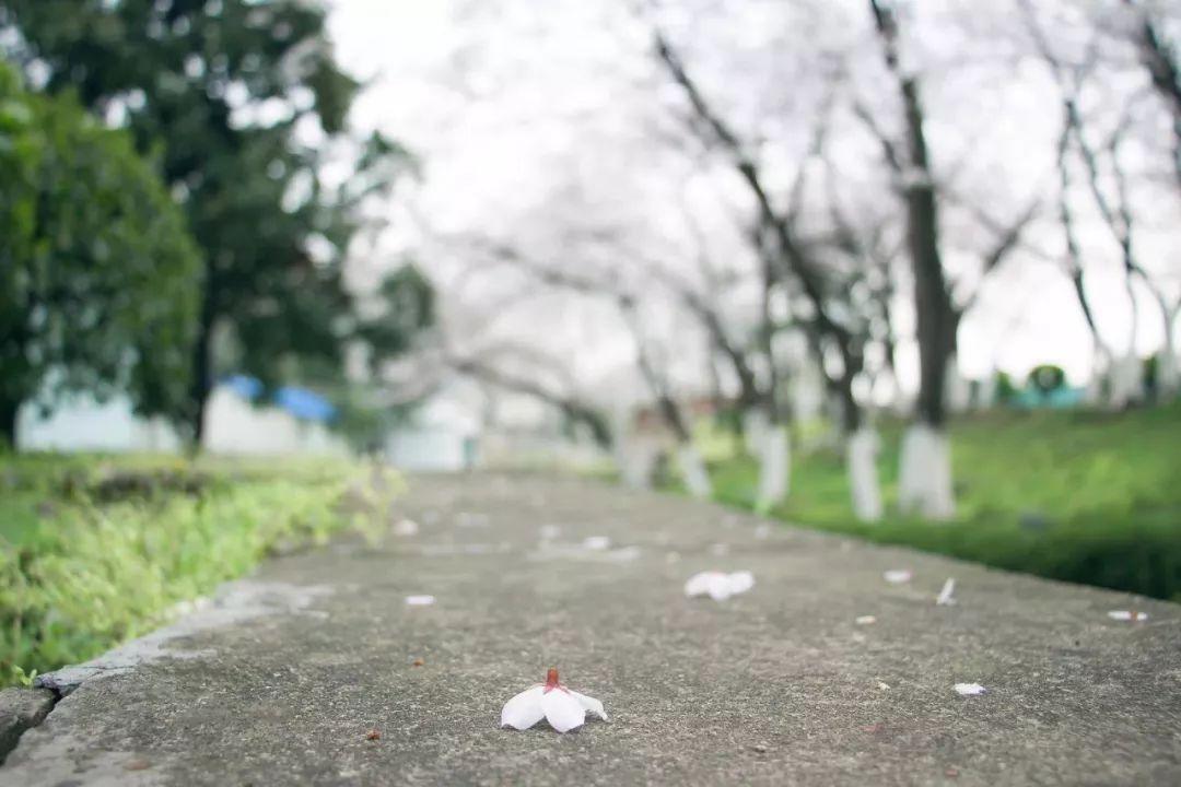 合作路街道办事处天气预报更新通知