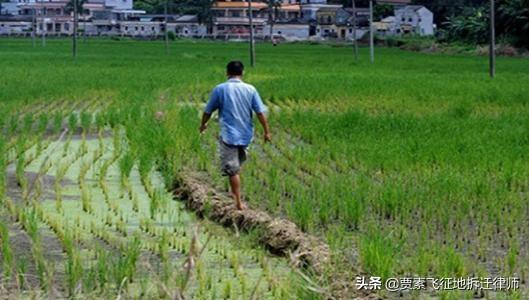 上沙沃村委会领导团队全新亮相，展望未来发展之路