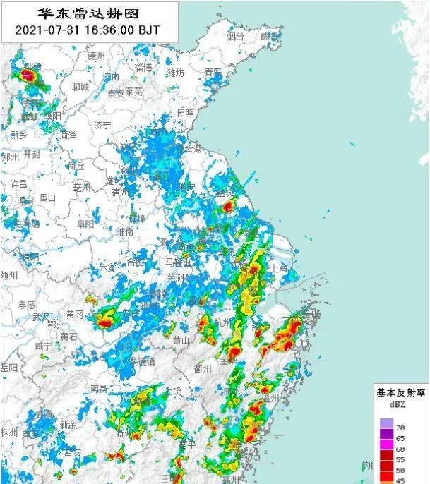 金山村最新天气预报