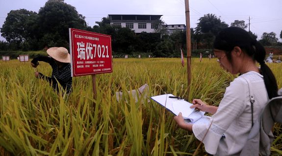 合江县农业农村局最新领导