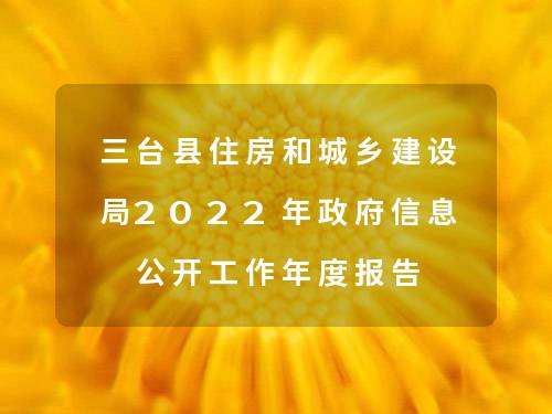 三台县人民政府办公室最新发展规划