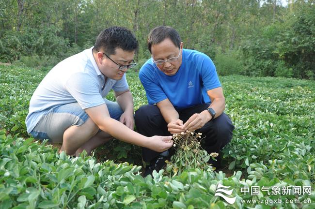 卧龙夏却村最新天气预报