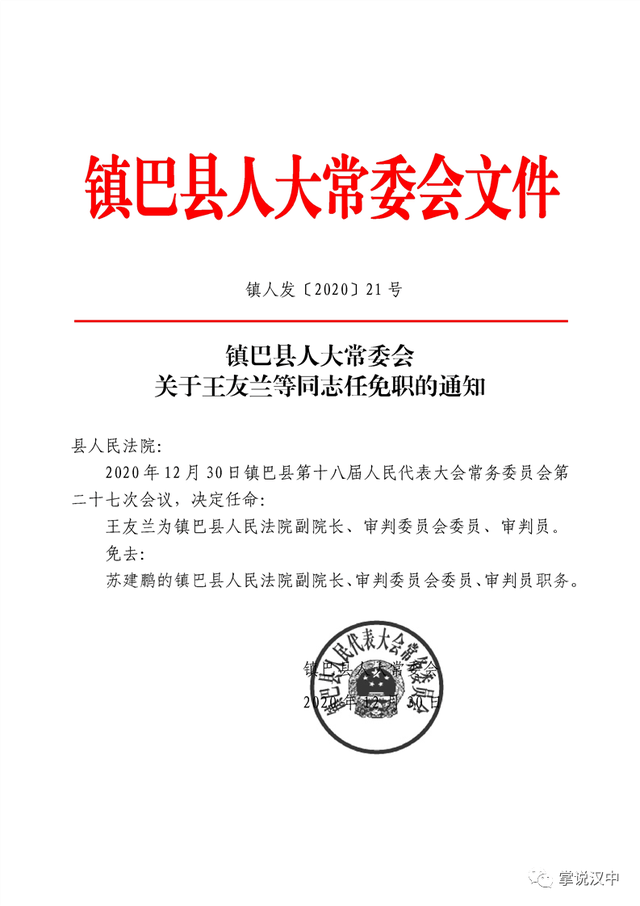 下二坝村委会人事任命揭晓，新一轮乡村发展力量启航